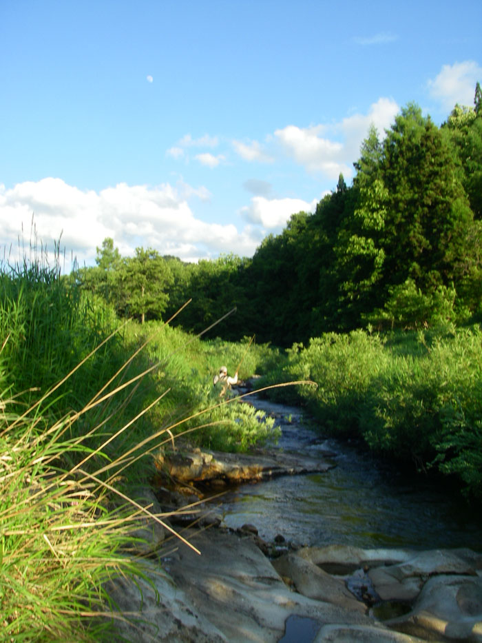 d0140490_145593.jpg