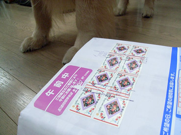 c0096393_17183585.jpg