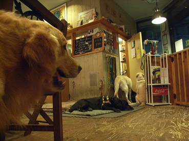 c0096393_17505977.jpg