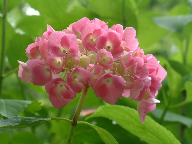 b0044296_917087.jpg