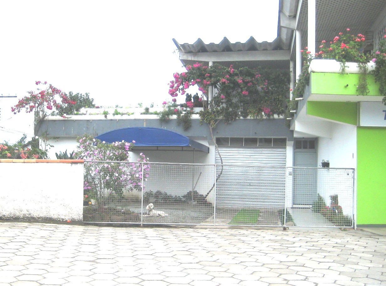e0118096_5484870.jpg