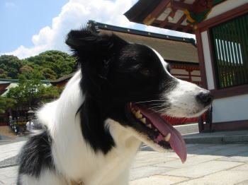 f0082396_20304593.jpg