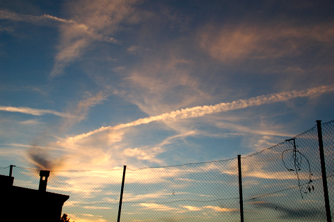 e0061699_7381370.jpg