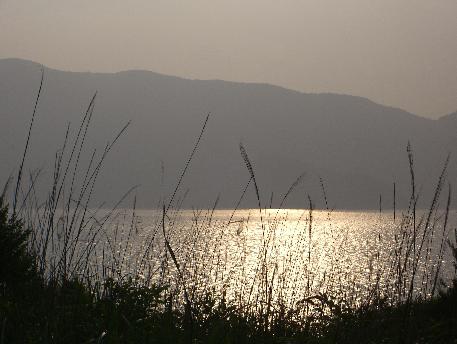 e0077899_5552783.jpg