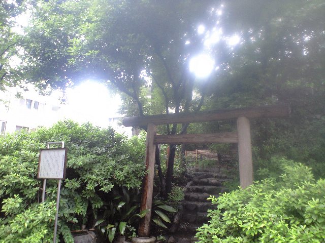 b0083902_20124891.jpg