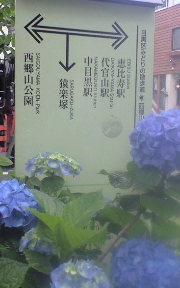 b0083902_2012971.jpg
