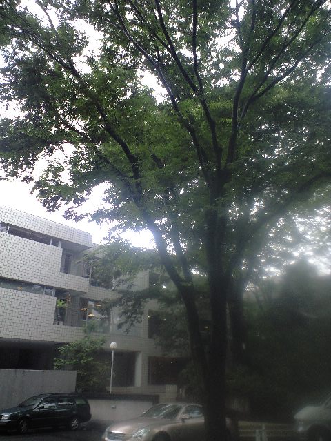 b0083902_2062287.jpg