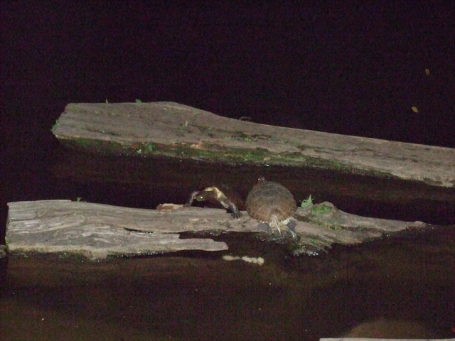 c0043403_22292356.jpg