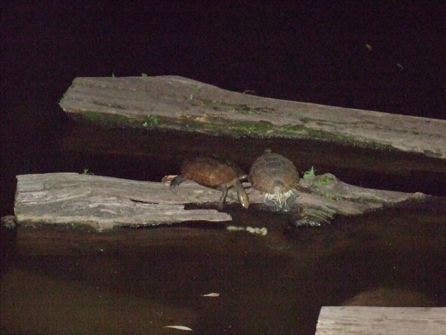 c0043403_22301036.jpg