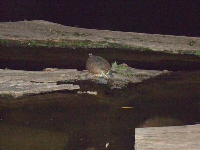 c0043403_2283612.jpg