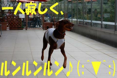 e0100007_2211291.jpg
