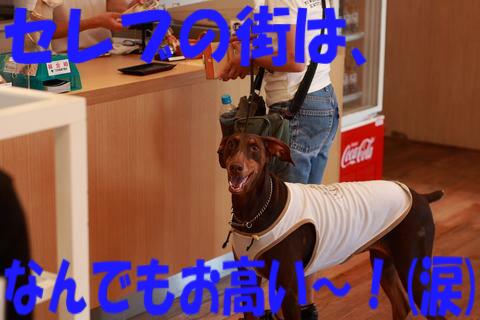 e0100007_226265.jpg