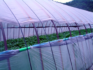 b0076710_16224541.jpg