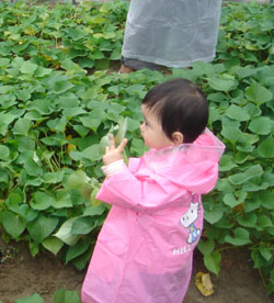 b0076710_16501328.jpg