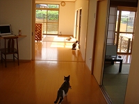 f0152412_2273341.jpg