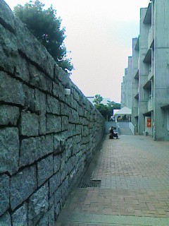 e0124619_0122845.jpg