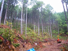 e0002820_18541762.jpg