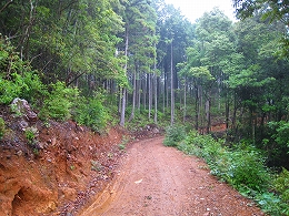 e0002820_18565525.jpg