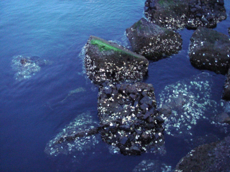 f0114520_18404761.jpg