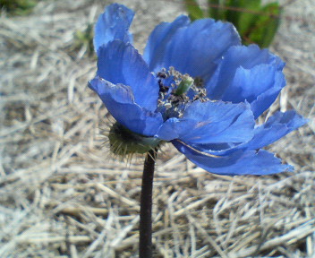 f0036223_11572179.jpg