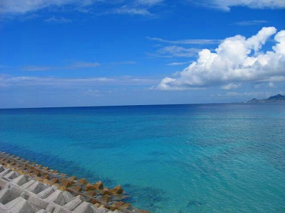d0066024_9384410.jpg
