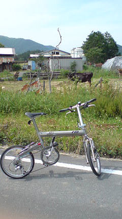 f0007926_20411735.jpg