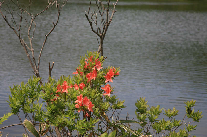 f0017530_18243393.jpg