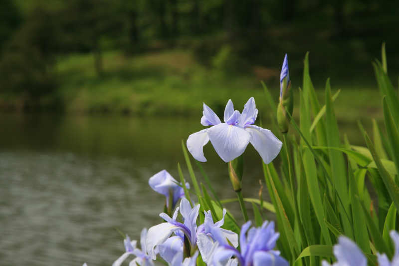 f0017530_18254866.jpg