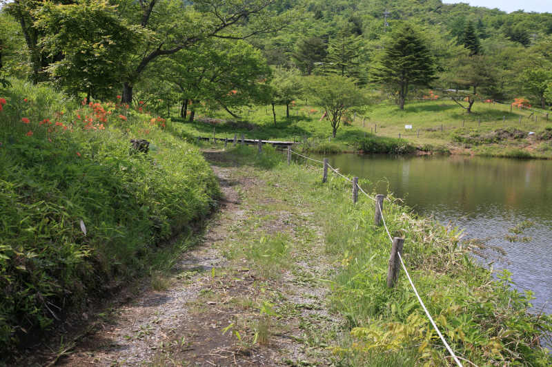 f0017530_18275161.jpg