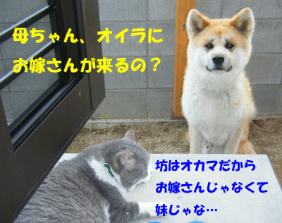 f0008935_15192270.gif