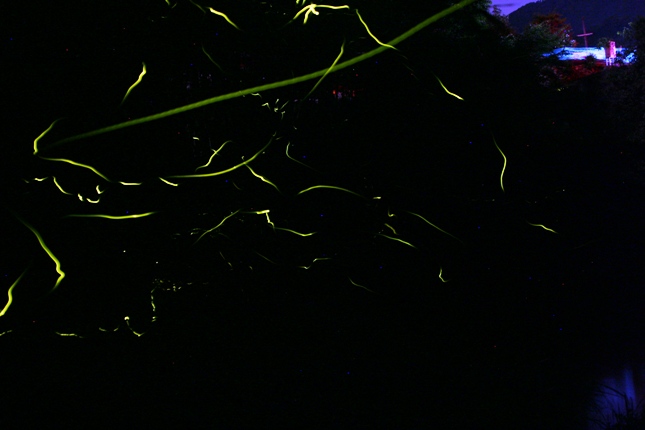 e0083238_2221188.jpg