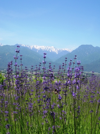 f0131939_13325048.jpg