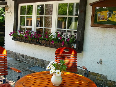 c0153740_3425715.jpg