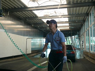c0153740_349447.jpg