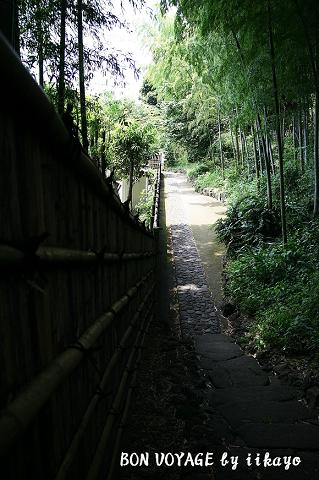 e0118941_1845432.jpg