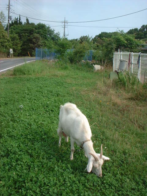 a0061845_2234398.jpg