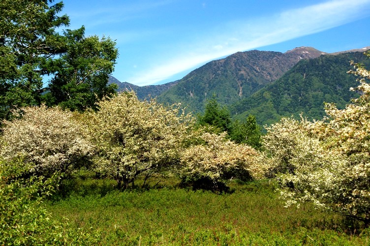 e0009147_16512314.jpg