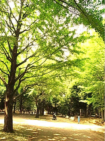 b0081348_10215436.jpg