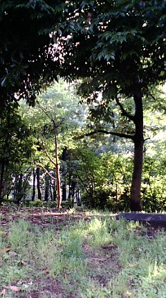 c0068451_11281215.jpg