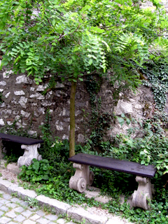 a0073357_1942685.jpg
