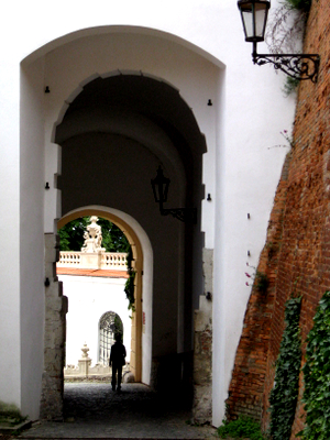 a0073357_19442593.jpg