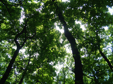 e0073762_16514833.jpg