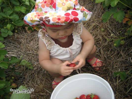 c0060573_13512431.jpg