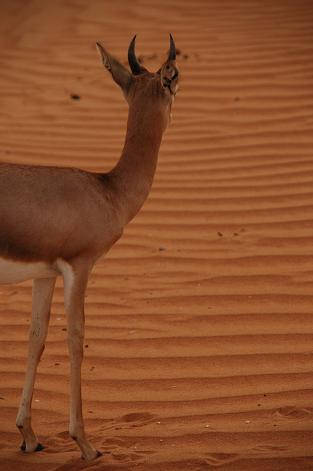 e0066474_17492010.jpg