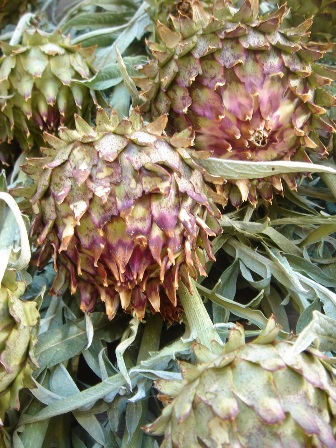 f0136579_18152597.jpg