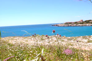 b0107891_503437.jpg