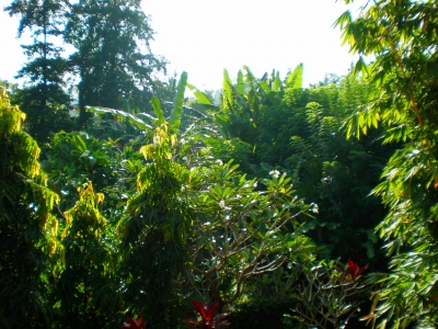 c0153292_0503015.jpg