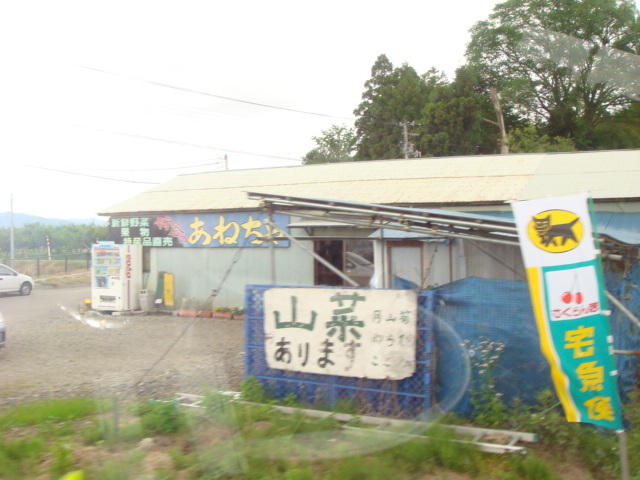 d0118393_18325748.jpg