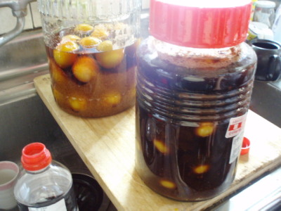 c0086895_272550.jpg