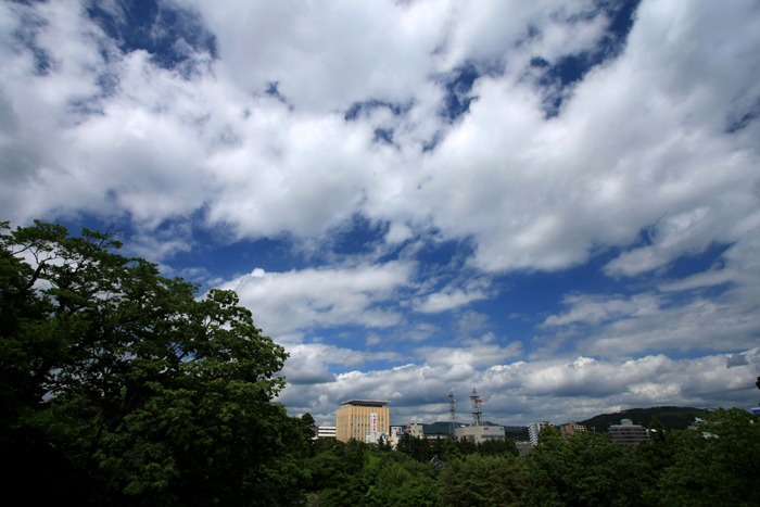 b0072697_2381198.jpg